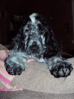 /album/ilpo/a31-03-12-008-jpg/